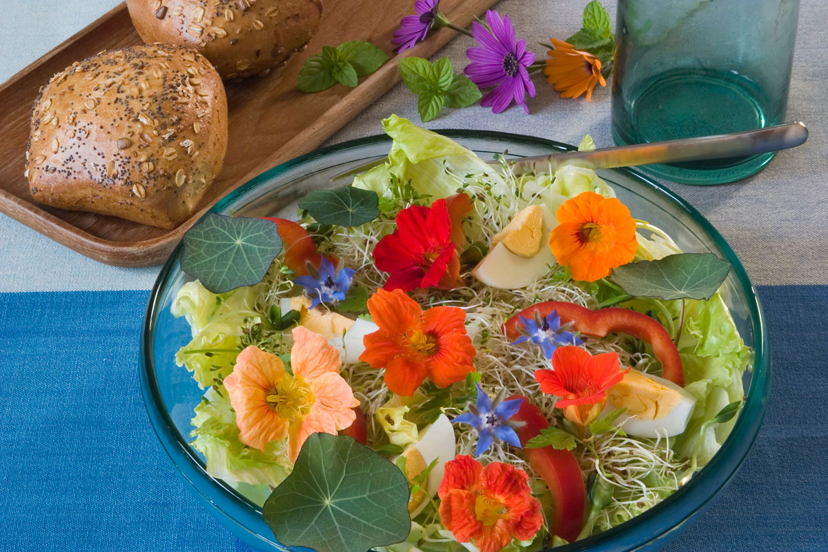 گل خوراکی (و3شیوه مصرف)Edible flower (and 3 ways of consumption) مجموعه تولیدی سیدوس , تولید کننده گلدان پلاستیکی سیدوس