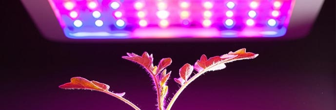 نور مصنوعی برای گیاه آپارتمانیArtificial light for houseplants
مجموعه تولیدی سیدوس ,تولید کننده گلدان پلاستیکی سیدوس ,بیش از 120نوع, اعم از گلدان استوانه ای پلاستیکی سیدوس,گلدان الماسی پلاستیکی سیدوس,گلدان مربعی پلاستیکی,گلدان مثلثی پلاستیکی,گلدان گرد پلاستیکی ,باکس مستطیلی,در اندازه های کاکتوسی تا درختچه ای