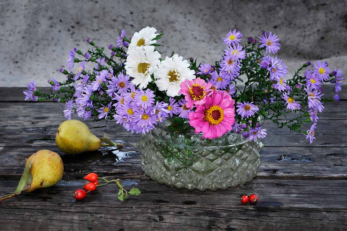 گل و گیاهان پاییزی برای علاقه مندان پاییزAutumn flowers and
 plants for autumn lovers
مجموعه تولیدی سیدوس ,تولید کننده گلدان پلاستیکی سیدوس ,بیش از 120نوع, اعم از گلدان استوانه ای پلاستیکی سیدوس,گلدان الماسی پلاستیکی سیدوس,گلدان مربعی پلاستیکی,گلدان مثلثی پلاستیکی,گلدان گرد پلاستیکی ,باکس مستطیلی,در اندازه های کاکتوسی تا درختچه ای