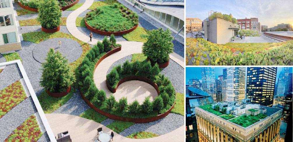 بام سبز یا روف گاردن Green roof or roof garden گلدان پلاستیکی Plastic pot, plastic vase مجموعه تولیدی سیدوس ,تولید کننده گلدان پلاستیکی سیدوس ,بیش از 120نوع, اعم از گلدان استوانه ای پلاستیکی سیدوس,گلدان الماسی پلاستیکی سیدوس,گلدان مربعی پلاستیکی,گلدان مثلثی پلاستیکی,گلدان گرد پلاستیکی ,باکس مستطیلی,در اندازه های کاکتوسی تا درختچه ای