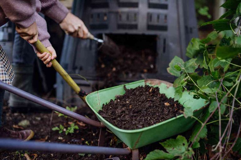 معایب ورمی کمپوست Disadvantages of vermicompost مجموعه تولیدی سیدوس ,تولید کننده گلدان پلاستیکی سیدوس ,بیش از 120نوع, اعم از گلدان استوانه ای پلاستیکی سیدوس,گلدان الماسی پلاستیکی سیدوس,گلدان مربعی پلاستیکی,گلدان مثلثی پلاستیکی,گلدان گرد پلاستیکی ,باکس مستطیلی,در اندازه های کاکتوسی تا درختچه ای