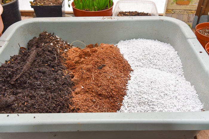 بهترین خاک برای گلدانThe best soil for pots
مجموعه تولیدی سیدوس ,تولید کننده گلدان پلاستیکی سیدوس ,بیش از 120نوع, اعم از گلدان استوانه ای پلاستیکی سیدوس,گلدان الماسی پلاستیکی سیدوس,گلدان مربعی پلاستیکی,گلدان مثلثی پلاستیکی,گلدان گرد پلاستیکی ,باکس مستطیلی,در اندازه های کاکتوسی تا درختچه ای