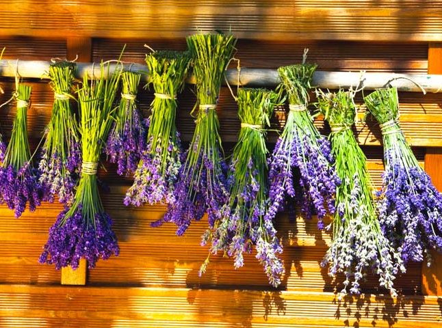 خشک کردن گل طبیعی (How to dry natural flowers) روش های خاصی داردمجموعه تولیدی سیدوس, تولید کننده گلدان پلاستیکی سیدوس