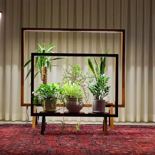 نور مصنوعی برای گیاه آپارتمانیArtificial light for houseplants
مجموعه تولیدی سیدوس ,تولید کننده گلدان پلاستیکی سیدوس ,بیش از 120نوع, اعم از گلدان استوانه ای پلاستیکی سیدوس,گلدان الماسی پلاستیکی سیدوس,گلدان مربعی پلاستیکی,گلدان مثلثی پلاستیکی,گلدان گرد پلاستیکی ,باکس مستطیلی,در اندازه های کاکتوسی تا درختچه ای