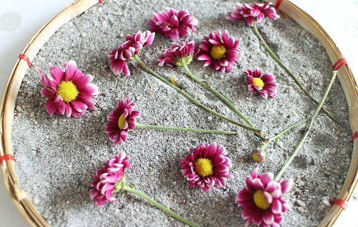 خشک کردن گل طبیعی (How to dry natural flowers) روش های خاصی داردمجموعه تولیدی سیدوس, تولید کننده گلدان پلاستیکی سیدوس