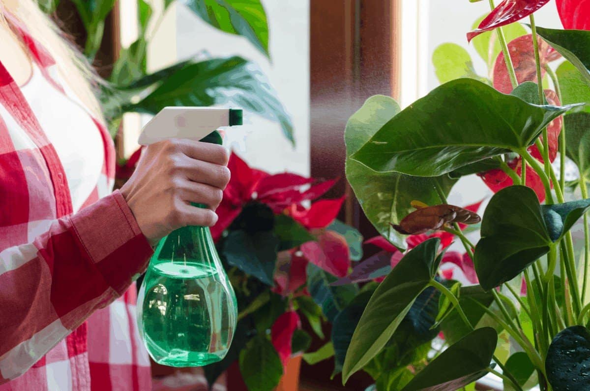 هیدروژن پراکسید در باغبانیHydrogen peroxide in gardening
مجموعه تولیدی سیدوس ,تولید کننده گلدان پلاستیکی سیدوس ,بیش از 120نوع, اعم از گلدان استوانه ای پلاستیکی سیدوس,گلدان الماسی پلاستیکی سیدوس,گلدان مربعی پلاستیکی,گلدان مثلثی پلاستیکی,گلدان گرد پلاستیکی ,باکس مستطیلی,در اندازه های کاکتوسی تا درختچه ای