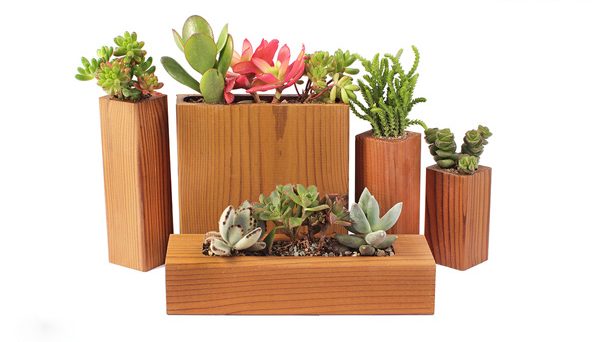 مزایا ومعایب هر نوع گلدان چیست؟What are the advantages and disadvantages of each type of pot?
مجموعه تولیدی سیدوس ,تولید کننده گلدان پلاستیکی سیدوس ,بیش از 120نوع, اعم از گلدان استوانه ای پلاستیکی سیدوس,گلدان الماسی پلاستیکی سیدوس,گلدان مربعی پلاستیکی,گلدان مثلثی پلاستیکی,گلدان گرد پلاستیکی ,باکس مستطیلی,در اندازه های کاکتوسی تا درختچه ای