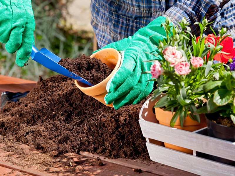 بهترین خاک برای گلدان The best soil for pots مجموعه تولیدی سیدوس ,تولید کننده گلدان پلاستیکی سیدوس ,بیش از 120نوع, اعم از گلدان استوانه ای پلاستیکی سیدوس,گلدان الماسی پلاستیکی سیدوس,گلدان مربعی پلاستیکی,گلدان مثلثی پلاستیکی,گلدان گرد پلاستیکی ,باکس مستطیلی,در اندازه های کاکتوسی تا درختچه ای