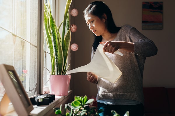 قرص کلسیم ومزایای آن برای گیاهان آپارتمانیCalcium tablets and their benefits for houseplants
مجموعه تولیدی سیدوس ,تولید کننده گلدان پلاستیکی سیدوس ,بیش از 120نوع, اعم از گلدان استوانه ای پلاستیکی سیدوس,گلدان الماسی پلاستیکی سیدوس,گلدان مربعی پلاستیکی,گلدان مثلثی پلاستیکی,گلدان گرد پلاستیکی ,باکس مستطیلی,در اندازه های کاکتوسی تا درختچه ای