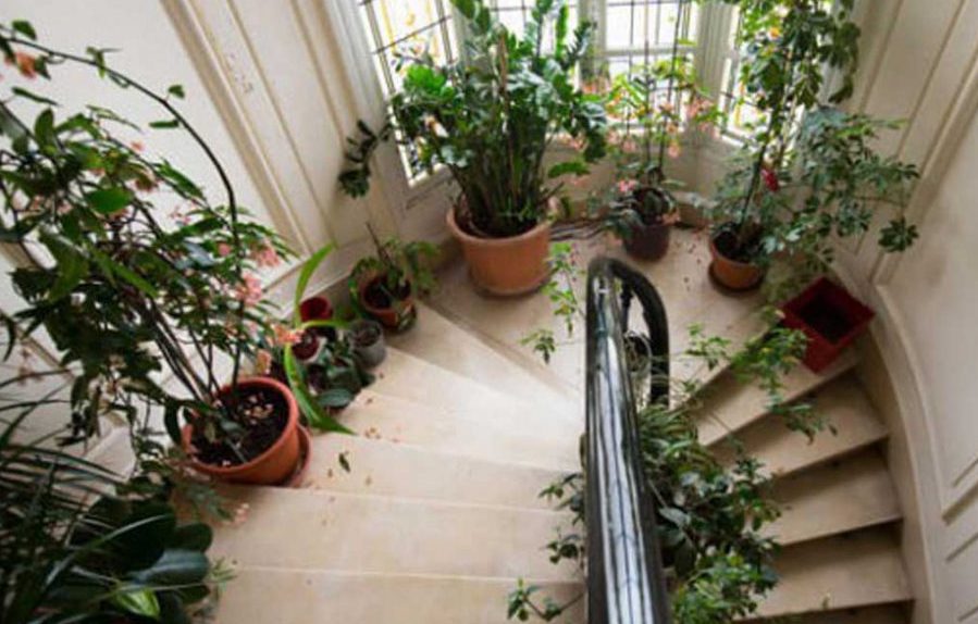 گل و گیاهان مناسب برای تزئین پاگرد راه پله Flowers and plants suitable for decorating the stairwell مجموعه تولیدی سیدوس ,تولید کننده گلدان پلاستیکی سیدوس ,بیش از 120نوع, اعم از گلدان استوانه ای پلاستیکی سیدوس,گلدان الماسی پلاستیکی سیدوس,گلدان مربعی پلاستیکی,گلدان مثلثی پلاستیکی,گلدان گرد پلاستیکی ,باکس مستطیلی,در اندازه های کاکتوسی تا درختچه ای