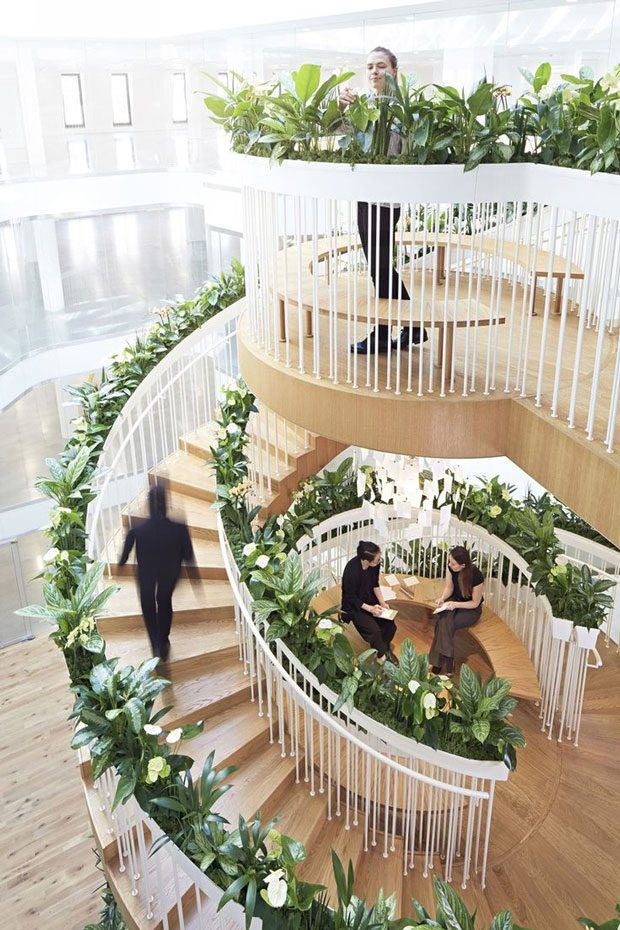 گل و گیاهان مناسب برای تزئین پاگرد راه پله Flowers and plants suitable for decorating the stairwell مجموعه تولیدی سیدوس ,تولید کننده گلدان پلاستیکی سیدوس ,بیش از 120نوع, اعم از گلدان استوانه ای پلاستیکی سیدوس,گلدان الماسی پلاستیکی سیدوس,گلدان مربعی پلاستیکی,گلدان مثلثی پلاستیکی,گلدان گرد پلاستیکی ,باکس مستطیلی,در اندازه های کاکتوسی تا درختچه ای