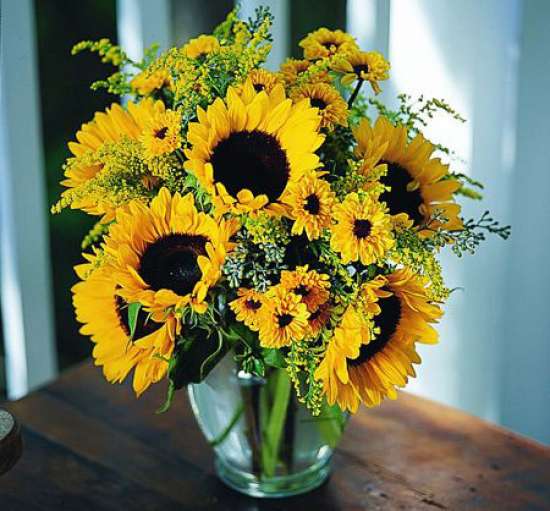 گل و گیاهان پاییزی برای علاقه مندان پاییزAutumn flowers and
 plants for autumn lovers
مجموعه تولیدی سیدوس ,تولید کننده گلدان پلاستیکی سیدوس ,بیش از 120نوع, اعم از گلدان استوانه ای پلاستیکی سیدوس,گلدان الماسی پلاستیکی سیدوس,گلدان مربعی پلاستیکی,گلدان مثلثی پلاستیکی,گلدان گرد پلاستیکی ,باکس مستطیلی,در اندازه های کاکتوسی تا درختچه ای