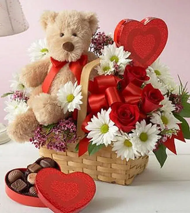 روز ولنتاین وچرایی کادو دادن خرس در این روزValentine's Day and why to give a bear as a gift on this day
مجموعه تولیدی سیدوس ,تولید کننده گلدان پلاستیکی سیدوس ,بیش از 120نوع, اعم از گلدان استوانه ای پلاستیکی سیدوس,گلدان الماسی پلاستیکی سیدوس,گلدان مربعی پلاستیکی,گلدان مثلثی پلاستیکی,گلدان گرد پلاستیکی ,باکس مستطیلی,در اندازه های کاکتوسی تا درختچه ای