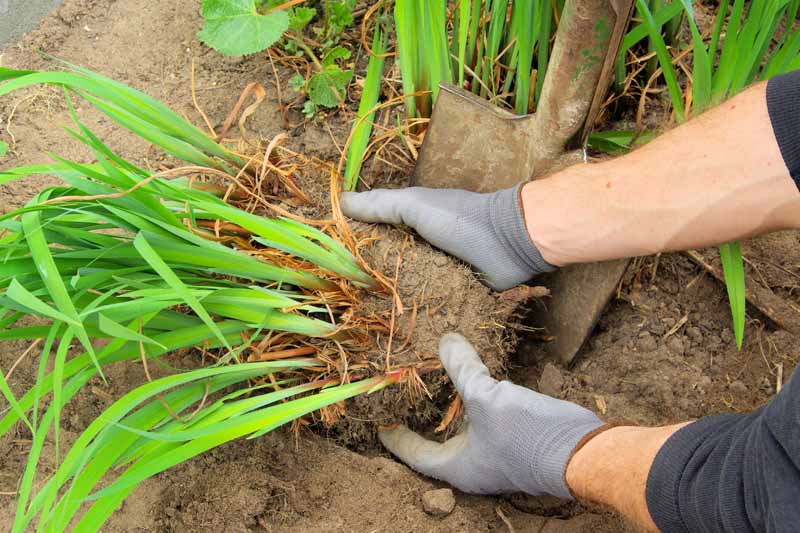تکثیر گیاهان از بذر تا قلمه زنیPlant propagation from seed to cuttings
مجموعه تولیدی سیدوس ,تولید کننده گلدان پلاستیکی سیدوس ,بیش از 120نوع, اعم از گلدان استوانه ای پلاستیکی سیدوس,گلدان الماسی پلاستیکی سیدوس,گلدان مربعی پلاستیکی,گلدان مثلثی پلاستیکی,گلدان گرد پلاستیکی ,باکس مستطیلی,در اندازه های کاکتوسی تا درختچه ای