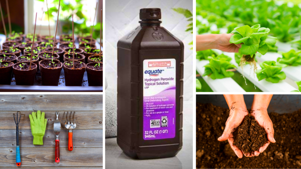 هیدروژن پراکسید در باغبانیHydrogen peroxide in gardening
مجموعه تولیدی سیدوس ,تولید کننده گلدان پلاستیکی سیدوس ,بیش از 120نوع, اعم از گلدان استوانه ای پلاستیکی سیدوس,گلدان الماسی پلاستیکی سیدوس,گلدان مربعی پلاستیکی,گلدان مثلثی پلاستیکی,گلدان گرد پلاستیکی ,باکس مستطیلی,در اندازه های کاکتوسی تا درختچه ای