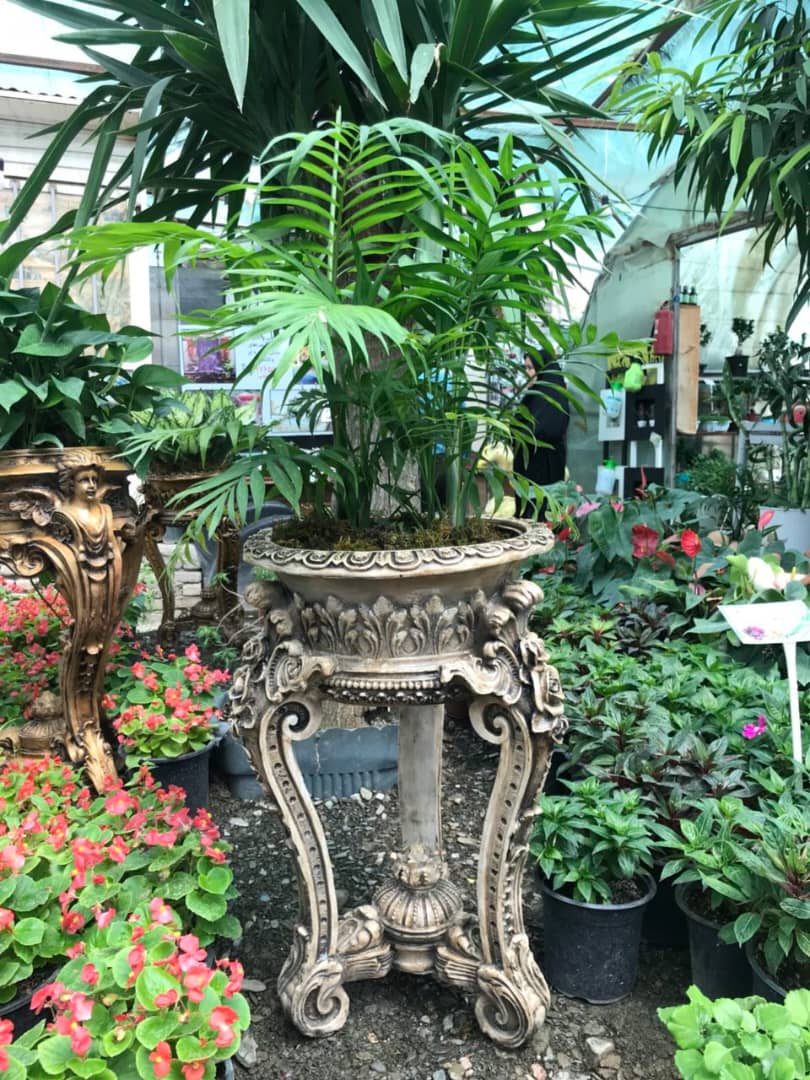 دکوراسیون با چیدمان گلدان گیاهان آپارتمانیDecoration with arrangement of potted houseplants
گلدان پلاستیکی  Plastic pot,  plastic vase مجموعه تولیدی سیدوس ,تولید کننده گلدان پلاستیکی سیدوس ,بیش از 120نوع, اعم از گلدان استوانه ای پلاستیکی سیدوس,گلدان الماسی پلاستیکی سیدوس,گلدان مربعی پلاستیکی,گلدان مثلثی پلاستیکی,گلدان گرد پلاستیکی ,باکس مستطیلی,در اندازه های کاکتوسی تا درختچه ای