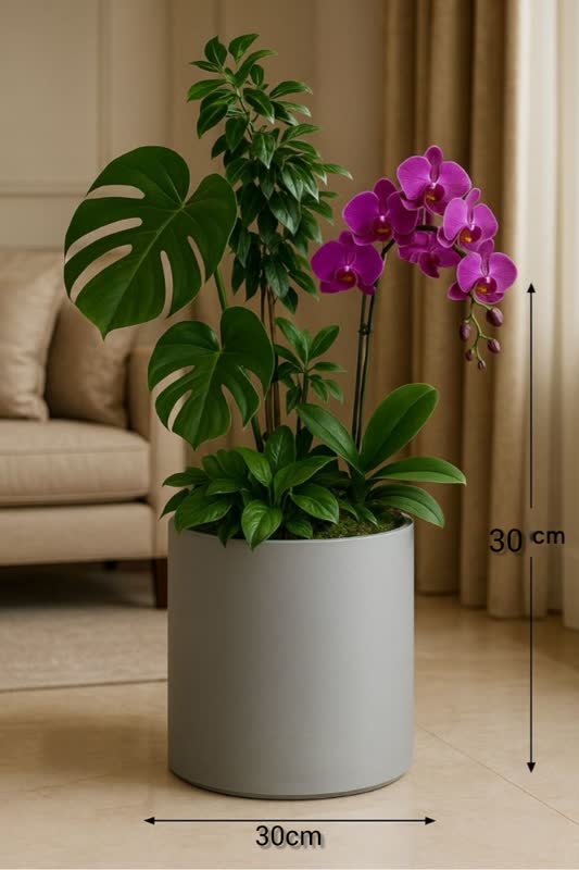 گلدان پلاستیکی استوانه ای درختچه ای سایز 6 Cylindrical plastic pot مجموعه تولیدی سیدوس ,تولید کننده گلدان پلاستیکی سیدوس ,بیش از 120نوع, اعم از گلدان استوانه ای پلاستیکی سیدوس,گلدان الماسی پلاستیکی سیدوس,گلدان مربعی پلاستیکی,گلدان مثلثی پلاستیکی,گلدان گرد پلاستیکی ,باکس مستطیلی,در اندازه های کاکتوسی تا درختچه ای