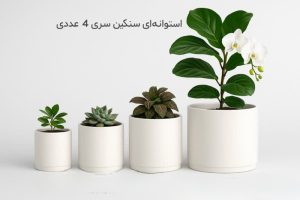 گلدان مناسب هرگیاه را چگونه تشخیص دهیم.(6نوع گلدان)