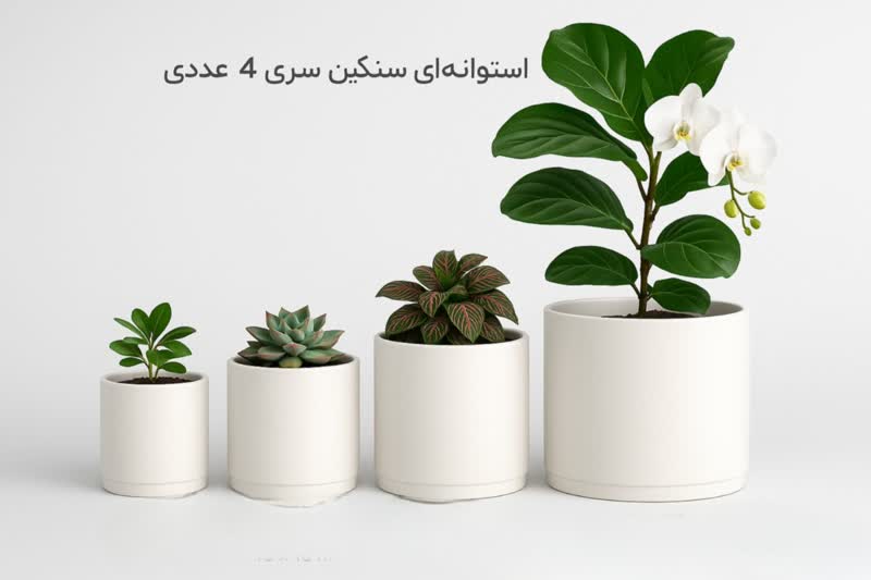 گلدان پلاستیکی استوانه ای سیدوسCylindrical plastic pot Sidoos
مجموعه تولیدی سیدوس ,تولید کننده گلدان پلاستیکی سیدوس ,بیش از 120نوع, اعم از گلدان استوانه ای پلاستیکی سیدوس,گلدان الماسی پلاستیکی سیدوس,گلدان مربعی پلاستیکی,گلدان مثلثی پلاستیکی,گلدان گرد پلاستیکی ,باکس مستطیلی,در اندازه های کاکتوسی تا درختچه ای