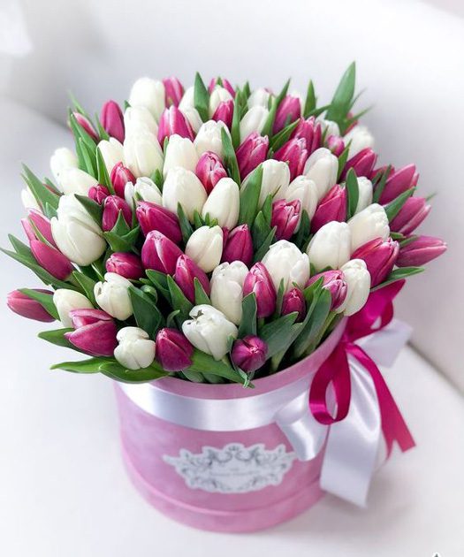 روز مادر و10نوع از بهترین هدایا از گل طبیعی Mother's Day and 10 types of the best gifts from natural flowers مجموعه تولیدی سیدوس ,تولید کننده گلدان پلاستیکی سیدوس ,بیش از 120نوع, اعم از گلدان استوانه ای پلاستیکی سیدوس,گلدان الماسی پلاستیکی سیدوس,گلدان مربعی پلاستیکی,گلدان مثلثی پلاستیکی,گلدان گرد پلاستیکی ,باکس مستطیلی,در اندازه های کاکتوسی تا درختچه ای