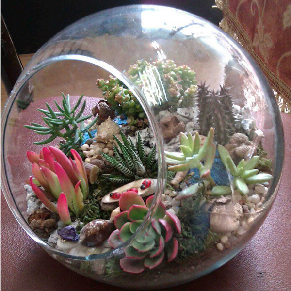 تراریوم (16ایده خلاقانه ) Terrarium (16 creative ideas) مجموعه تولیدی سیدوس ,تولید کننده گلدان پلاستیکی سیدوس ,بیش از 120نوع, اعم از گلدان استوانه ای پلاستیکی سیدوس,گلدان الماسی پلاستیکی سیدوس,گلدان مربعی پلاستیکی,گلدان مثلثی پلاستیکی,گلدان گرد پلاستیکی ,باکس مستطیلی,در اندازه های کاکتوسی تا درختچه ای