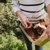 تفاله قهوه ومزایای آن برای گیاهان(3مزیت)