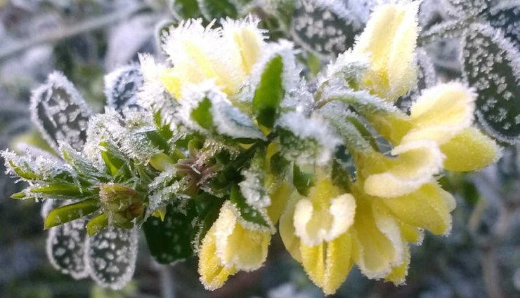 گیاهانی که باید در زمستان به داخل منزل منتقل گرددPlants that should be brought indoors in winter
مجموعه تولیدی سیدوس ,تولید کننده گلدان پلاستیکی سیدوس ,بیش از 120نوع, اعم از گلدان استوانه ای پلاستیکی سیدوس,گلدان الماسی پلاستیکی سیدوس,گلدان مربعی پلاستیکی,گلدان مثلثی پلاستیکی,گلدان گرد پلاستیکی ,باکس مستطیلی,در اندازه های کاکتوسی تا درختچه ای