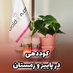 Fertilization کود دهی