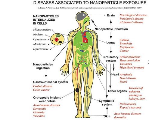 نانو چیست وچه کاربردی دارد؟What is nano and what is its application? مجموعه تولیدی سیدوس ,تولید کننده گلدان پلاستیکی سیدوس ,بیش از 120نوع, اعم از گلدان استوانه ای پلاستیکی سیدوس,گلدان الماسی پلاستیکی سیدوس,گلدان مربعی پلاستیکی,گلدان مثلثی پلاستیکی,گلدان گرد پلاستیکی ,باکس مستطیلی,در اندازه های کاکتوسی تا درختچه ای