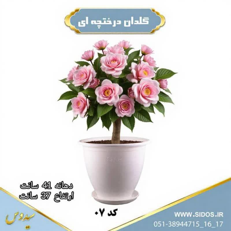 گل کاملیا Camellia flowerگلدان پلاستیکی Plastic pot, plastic vase مجموعه تولیدی سیدوس ,تولید کننده گلدان پلاستیکی سیدوس ,بیش از 120نوع, اعم از گلدان استوانه ای پلاستیکی سیدوس,گلدان الماسی پلاستیکی سیدوس,گلدان مربعی پلاستیکی,گلدان مثلثی پلاستیکی,گلدان گرد پلاستیکی ,باکس مستطیلی,در اندازه های کاکتوسی تا درختچه ای