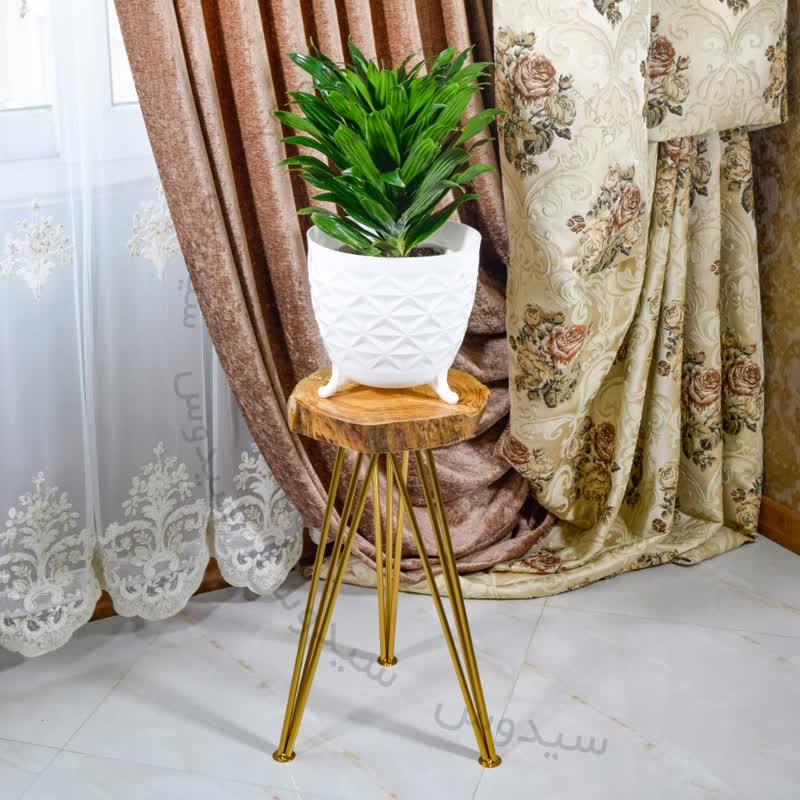 کاشت گل و گیاه آپارتمانی در گلدان پلاستیکی سیدوسPlanting flowers and houseplants in plastic pots Sidoos
گلدان پلاستیکی Plastic pot, plastic vase مجموعه تولیدی سیدوس ,تولید کننده گلدان پلاستیکی سیدوس ,بیش از 120نوع, اعم از گلدان استوانه ای پلاستیکی سیدوس,گلدان الماسی پلاستیکی سیدوس,گلدان مربعی پلاستیکی,گلدان مثلثی پلاستیکی,گلدان گرد پلاستیکی ,باکس مستطیلی,در اندازه های کاکتوسی تا درختچه ای