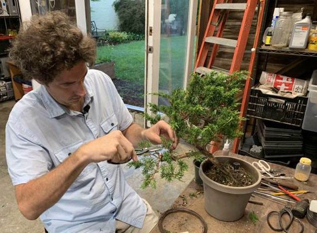 درختچه های بونسای وخواص وفوائد شگفت انگیز آنBonsai shrubs and their amazing benefits مجموعه تولیدی سیدوس ,تولید کننده گلدان پلاستیکی سیدوس ,بیش از 120نوع, اعم از گلدان استوانه ای پلاستیکی سیدوس,گلدان الماسی پلاستیکی سیدوس,گلدان مربعی پلاستیکی,گلدان مثلثی پلاستیکی,گلدان گرد پلاستیکی ,باکس مستطیلی,در اندازه های کاکتوسی تا درختچه ای 