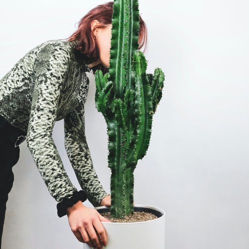 گیاه افوربیا در گلدان پلاستیکی سیدوسeuphorbia-plant-in-a-plastic-sidoos-pot
گلدان پلاستیکی  Plastic pot,  plastic vase مجموعه تولیدی سیدوس ,تولید کننده گلدان پلاستیکی سیدوس ,بیش از 120نوع, اعم از گلدان استوانه ای پلاستیکی سیدوس,گلدان الماسی پلاستیکی سیدوس,گلدان مربعی پلاستیکی,گلدان مثلثی پلاستیکی,گلدان گرد پلاستیکی ,باکس مستطیلی,در اندازه های کاکتوسی تا درختچه ای