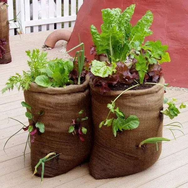 باغبانی گلدانی یا کشت گلدانی چیست؟ What is potted gardening? مجموعه تولیدی سیدوس ,تولید کننده گلدان پلاستیکی سیدوس ,بیش از 120نوع, اعم از گلدان استوانه ای پلاستیکی سیدوس,گلدان الماسی پلاستیکی سیدوس,گلدان مربعی پلاستیکی,گلدان مثلثی پلاستیکی,گلدان گرد پلاستیکی ,باکس مستطیلی,در اندازه های کاکتوسی تا درختچه ای