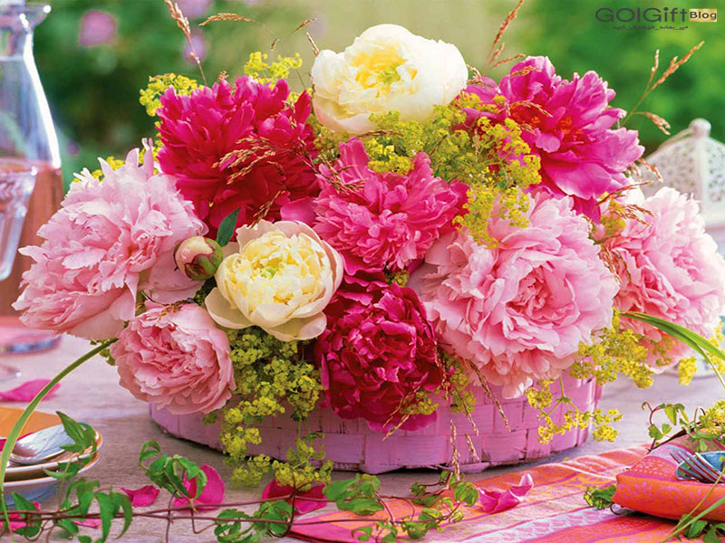 گل های بهاری مناسب نوروز Spring flowers suitable for Nowruz (10 flowers) مجموعه تولیدی سیدوس , تولید کننده گلدان پلاستیکی سیدوس