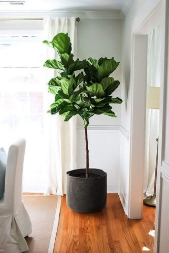 گلدان مناسب هرگیاه را چگونه تشخیص دهیمHow to identify the right pot for each plant مجموعه تولیدی سیدوس ,تولید کننده گلدان پلاستیکی سیدوس ,بیش از 120نوع, اعم از گلدان استوانه ای پلاستیکی سیدوس,گلدان الماسی پلاستیکی سیدوس,گلدان مربعی پلاستیکی,گلدان مثلثی پلاستیکی,گلدان گرد پلاستیکی ,باکس مستطیلی,در اندازه های کاکتوسی تا درختچه ای