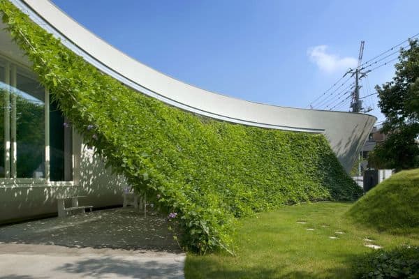 گیاهان بلند قامت مناسب حفظ حریم خصوصی Tall plants for privacy
مجموعه تولیدی سیدوس ,تولید کننده گلدان پلاستیکی سیدوس ,بیش از 120نوع, اعم از گلدان استوانه ای پلاستیکی سیدوس,گلدان الماسی پلاستیکی سیدوس,گلدان مربعی پلاستیکی,گلدان مثلثی پلاستیکی,گلدان گرد پلاستیکی ,باکس مستطیلی,در اندازه های کاکتوسی تا درختچه ای. بامبو