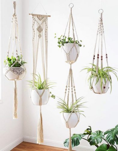 گیاهان آپارتمانی وچیدمان آن در دکوراسیون منزل Houseplants and their arrangement in home decoration مجموعه تولیدی سیدوس, تولید کننده گلدان پلاستیکی سیدوس 