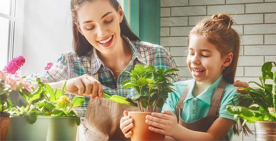  راه های مبارزه با بیماری گیاهان آپارتمانیWays to combat houseplant disease
گلدان پلاستیکی  Plastic pot,  plastic vase مجموعه تولیدی سیدوس ,تولید کننده گلدان پلاستیکی سیدوس ,بیش از 120نوع, اعم از گلدان استوانه ای پلاستیکی سیدوس,گلدان الماسی پلاستیکی سیدوس,گلدان مربعی پلاستیکی,گلدان مثلثی پلاستیکی,گلدان گرد پلاستیکی ,باکس مستطیلی,در اندازه های کاکتوسی تا درختچه ای