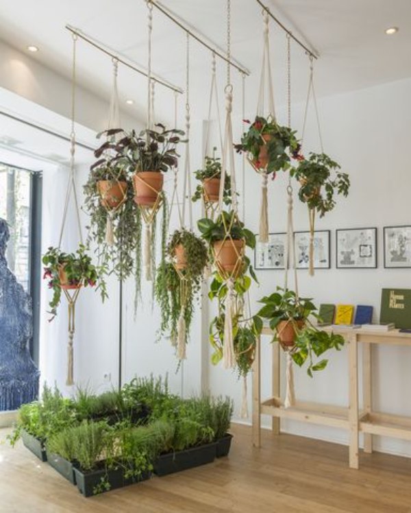 گیاهان آویزی,منزل شما را سبزتر می‌کنندHanging plants make your home greener
مجموعه تولیدی سیدوس تولید کننده گلدان پلاستیکی اعم از گلدان استوانه ای وگلدان الماسی,گلدان باکس ,و... با بیش از 120مدل گلدان پلاستیکی سیدوس