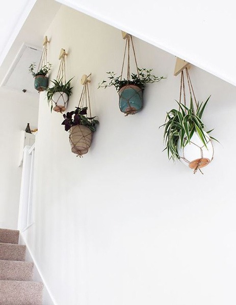 گل و گیاهان مناسب برای تزئین پاگرد راه پله Flowers and plants suitable for decorating the stairwell مجموعه تولیدی سیدوس ,تولید کننده گلدان پلاستیکی سیدوس ,بیش از 120نوع, اعم از گلدان استوانه ای پلاستیکی سیدوس,گلدان الماسی پلاستیکی سیدوس,گلدان مربعی پلاستیکی,گلدان مثلثی پلاستیکی,گلدان گرد پلاستیکی ,باکس مستطیلی,در اندازه های کاکتوسی تا درختچه ای