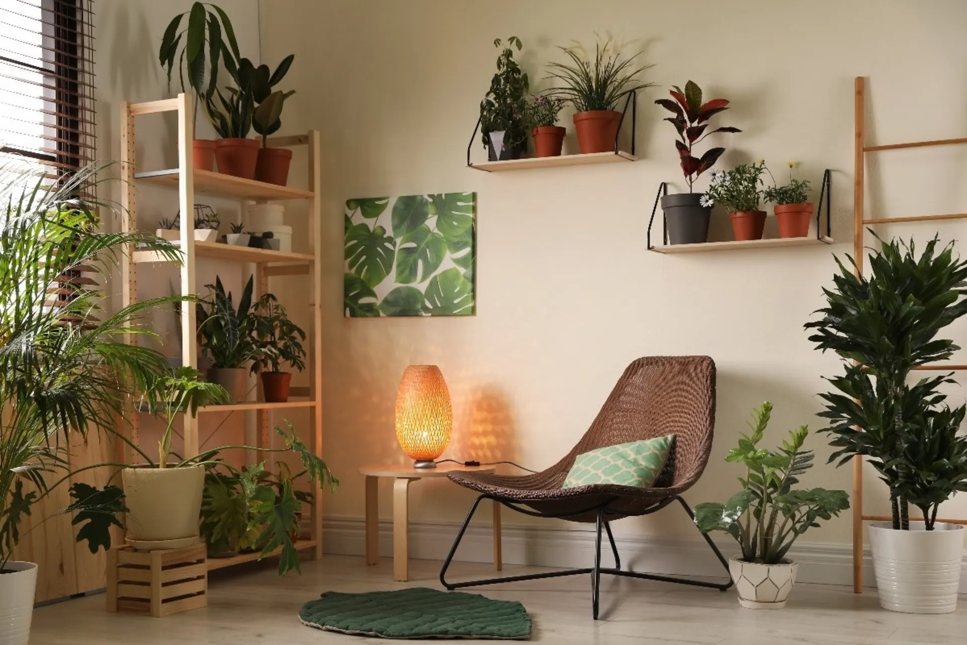 گیاهانی که باید در زمستان به داخل منزل منتقل گرددPlants that should be brought indoors in winter
مجموعه تولیدی سیدوس ,تولید کننده گلدان پلاستیکی سیدوس ,بیش از 120نوع, اعم از گلدان استوانه ای پلاستیکی سیدوس,گلدان الماسی پلاستیکی سیدوس,گلدان مربعی پلاستیکی,گلدان مثلثی پلاستیکی,گلدان گرد پلاستیکی ,باکس مستطیلی,در اندازه های کاکتوسی تا درختچه ای