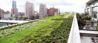 بام سبز یا روف گاردنGreen roof or roof garden
گلدان پلاستیکی  Plastic pot,  plastic vase مجموعه تولیدی سیدوس ,تولید کننده گلدان پلاستیکی سیدوس ,بیش از 120نوع, اعم از گلدان استوانه ای پلاستیکی سیدوس,گلدان الماسی پلاستیکی سیدوس,گلدان مربعی پلاستیکی,گلدان مثلثی پلاستیکی,گلدان گرد پلاستیکی ,باکس مستطیلی,در اندازه های کاکتوسی تا درختچه ای