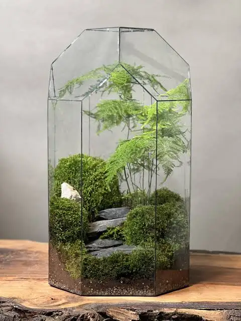 تراریوم (16ایده خلاقانه ) Terrarium (16 creative ideas) مجموعه تولیدی سیدوس ,تولید کننده گلدان پلاستیکی سیدوس ,بیش از 120نوع, اعم از گلدان استوانه ای پلاستیکی سیدوس,گلدان الماسی پلاستیکی سیدوس,گلدان مربعی پلاستیکی,گلدان مثلثی پلاستیکی,گلدان گرد پلاستیکی ,باکس مستطیلی,در اندازه های کاکتوسی تا درختچه ای