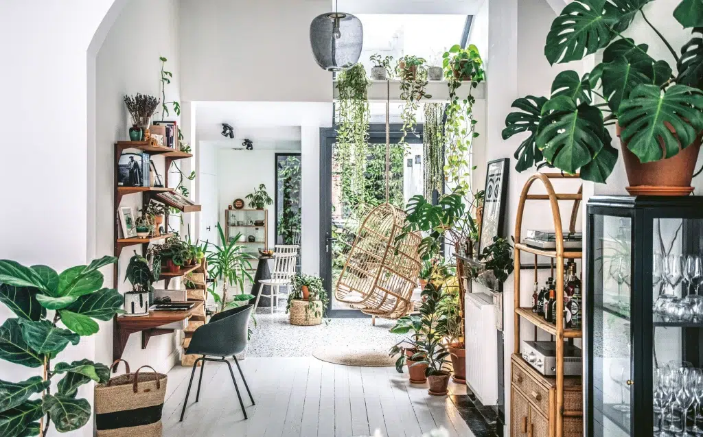 باغ کوچک خود را به راهرو محل زندگیتان ببرید.Bring your small garden into your hallway. مجموعه تولیدی سیدوس ,تولید کننده گلدان پلاستیکی سیدوس ,بیش از 120نوع, اعم از گلدان استوانه ای پلاستیکی سیدوس,گلدان الماسی پلاستیکی سیدوس,گلدان مربعی پلاستیکی,گلدان مثلثی پلاستیکی,گلدان گرد پلاستیکی ,باکس مستطیلی,در اندازه های کاکتوسی تا درختچه ای