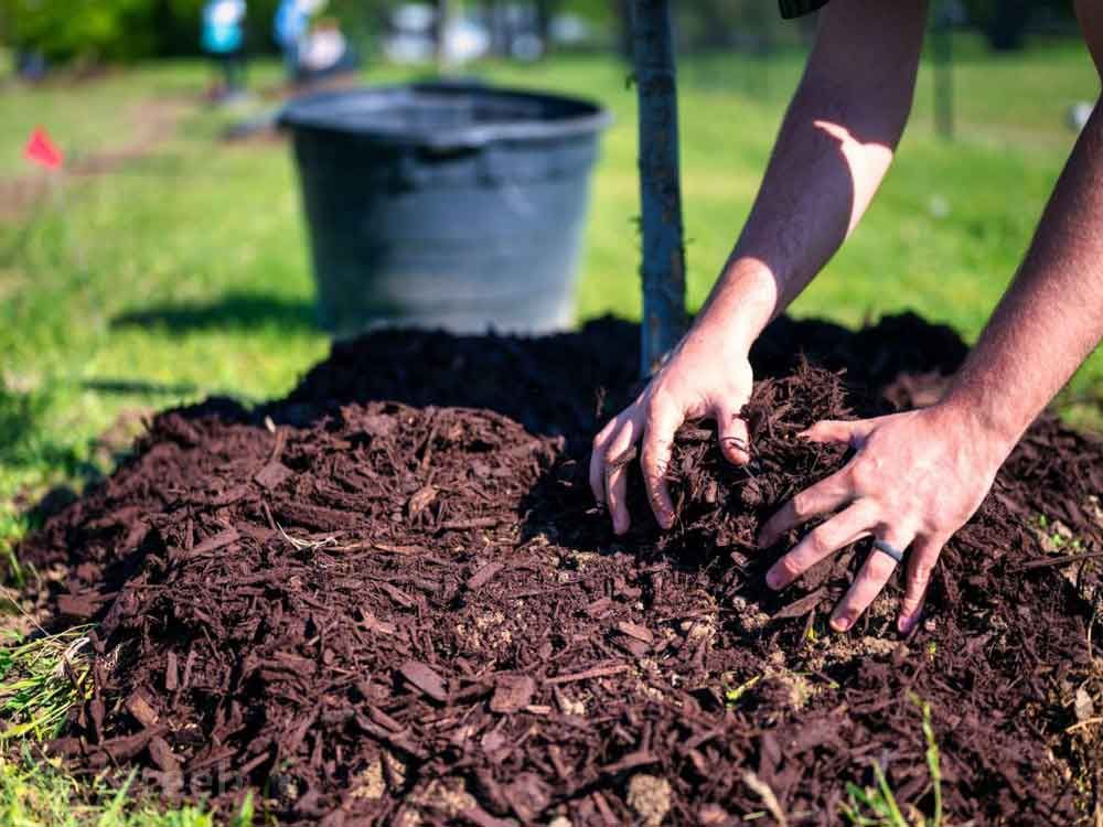 ورمی کمپوست وبهترین زمان مصرف آن برای رشدگیاهانVermicompost and the best time to use it for plant growth
مجموعه تولیدی سیدوس ,تولید کننده گلدان پلاستیکی سیدوس ,بیش از 120نوع, اعم از گلدان استوانه ای پلاستیکی سیدوس,گلدان الماسی پلاستیکی سیدوس,گلدان مربعی پلاستیکی,گلدان مثلثی پلاستیکی,گلدان گرد پلاستیکی ,باکس مستطیلی,در اندازه های کاکتوسی تا درختچه ای