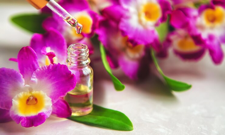 گل ارکیده وخواص آن برای سالم تر زندگی کردنOrchid flower and its properties for a healthier life
مجموعه تولیدی سیدوس ,تولید کننده گلدان پلاستیکی سیدوس ,بیش از 120نوع, اعم از گلدان استوانه ای پلاستیکی سیدوس,گلدان الماسی پلاستیکی سیدوس,گلدان مربعی پلاستیکی,گلدان مثلثی پلاستیکی,گلدان گرد پلاستیکی ,باکس مستطیلی,در اندازه های کاکتوسی تا درختچه ای