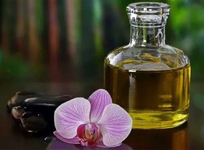 گل ارکیده وخواص آن برای سالم تر زندگی کردنOrchid flower and its properties for a healthier life
مجموعه تولیدی سیدوس ,تولید کننده گلدان پلاستیکی سیدوس ,بیش از 120نوع, اعم از گلدان استوانه ای پلاستیکی سیدوس,گلدان الماسی پلاستیکی سیدوس,گلدان مربعی پلاستیکی,گلدان مثلثی پلاستیکی,گلدان گرد پلاستیکی ,باکس مستطیلی,در اندازه های کاکتوسی تا درختچه ای