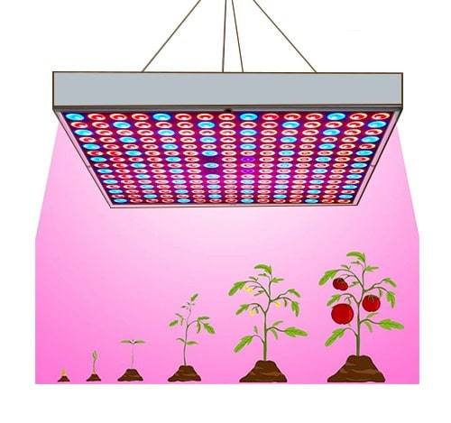 نور مصنوعی برای گیاه آپارتمانیArtificial light for houseplants
مجموعه تولیدی سیدوس ,تولید کننده گلدان پلاستیکی سیدوس ,بیش از 120نوع, اعم از گلدان استوانه ای پلاستیکی سیدوس,گلدان الماسی پلاستیکی سیدوس,گلدان مربعی پلاستیکی,گلدان مثلثی پلاستیکی,گلدان گرد پلاستیکی ,باکس مستطیلی,در اندازه های کاکتوسی تا درختچه ای