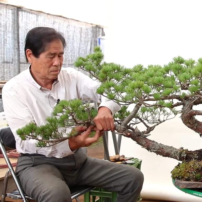 بونسای های عجیب و گرانبها در دنیاStrange and precious bonsai in the world
مجموعه تولیدی سیدوس ,تولید کننده گلدان پلاستیکی سیدوس ,بیش از 120نوع, اعم از گلدان استوانه ای پلاستیکی سیدوس,گلدان الماسی پلاستیکی سیدوس,گلدان مربعی پلاستیکی,گلدان مثلثی پلاستیکی,گلدان گرد پلاستیکی ,باکس مستطیلی,در اندازه های کاکتوسی تا درختچه ای